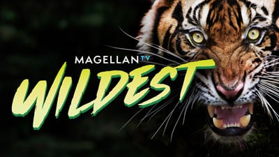 magellantv